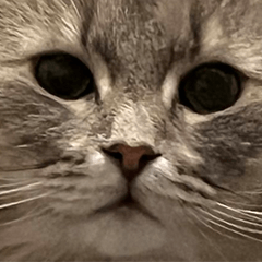 ジャックとりり様スタンプ③