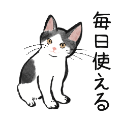 毎日使える！ねこの敬語スタンプ