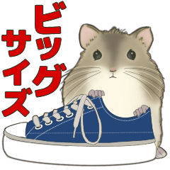 BIG❤️可愛くずっと使える❤️ハムスター