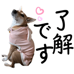 ずーきときなちゃんの声