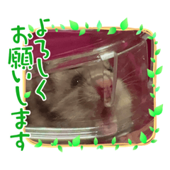 まるくんスタンプじゃん