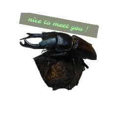 使いやすい　クワガタスタンプ。