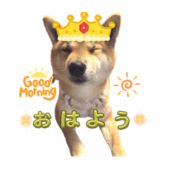 とりちゃスタンプ