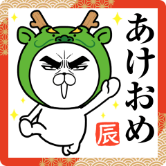 目ヂカラ☆にゃんこ【2024正月・年末年始】