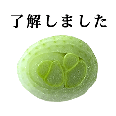 ねぎ　ネギ　と　敬語