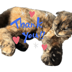 ビニールハウスの天使達4