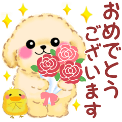 かわいいトイプードル❤️あったかい言葉