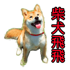 柴犬はあなたに新年を願います