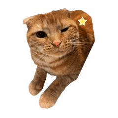 かわいい！ふみさん2