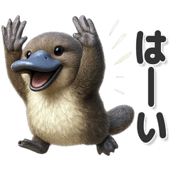 毎日使える！かわいいカモノハシ