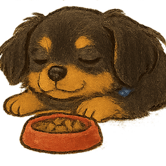 チワックス チョコの日常