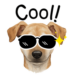 See nuan zaa and mom and ju