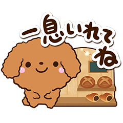 トイプードル【レッド】カフェ