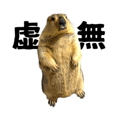 マーモットのまもちたち