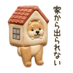 クッキーな柴犬