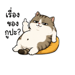 Pim the cat_20260718164235