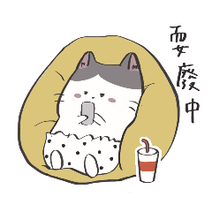 Daily Cuteness of Meowbao