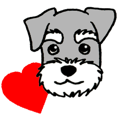 みんな大好きシュナウザー犬