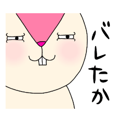 毎日モモ丸3★色んな気持ち