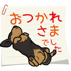 ダックス大好きスタンプ◆黒タン優しい敬語