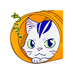 サバトラみかん～チラ見～