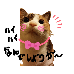 我が家娘息子達