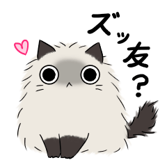 見つめるネコちゃん(？)との楽しい日常-2