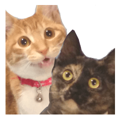 飼い猫ココ&ナナのスタンプ
