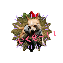 陽菜！六！八郎！