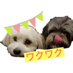 ぺここじの日常