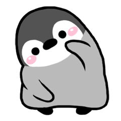 ぺんぎんのマシュー