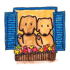 ゴールデンブラザース