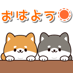 ちょこむちしば