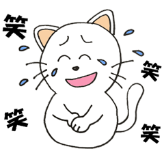 猫だるまの喜怒哀楽とか