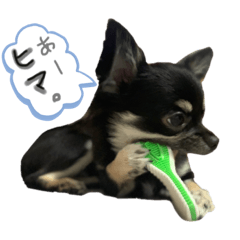 ケケ好きの人のためのスタンプ