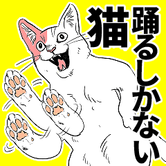 躍るしかない猫