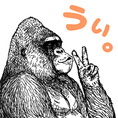 ゴリラです。その２。
