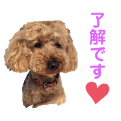 さくらの敬語スタンプ02