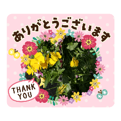 美味しいお花スタンプ