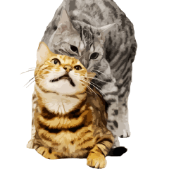 トミックのおうちのルトとロゼ　その２