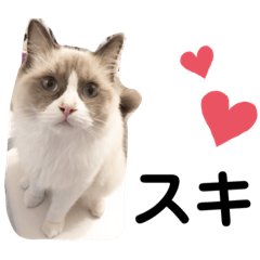 あじ太郎スタンプ