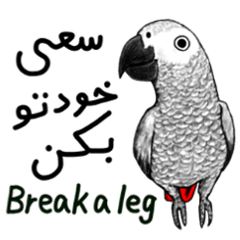 KASKO (ペルシア語)