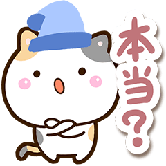 まるい三毛猫【冬】