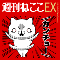動く/週刊ねここEX/毎日使える