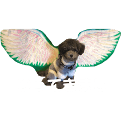 rainyのrainyのためのrainyだけのstamp①