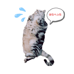 みるくtoくるみ