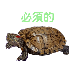 yunyun_20210314140731