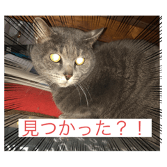 ランちゃんスタンプーー