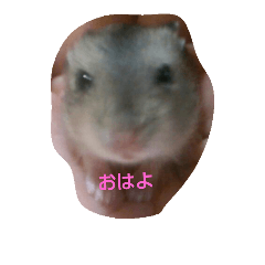 それいけ！ネズミーズ3