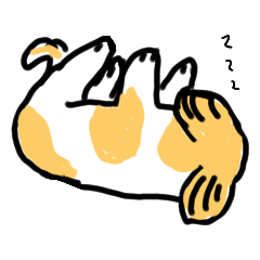 シーズーまくちゃんお世話だよん